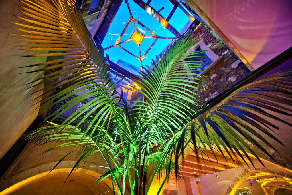 Elia Fatma Boutique Hotel (Adults Only) ハニア エクステリア 写真